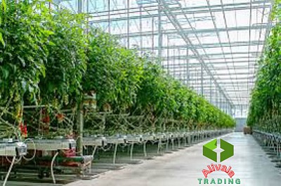 واردات کنترل اقلیم گلخانه ای از چین