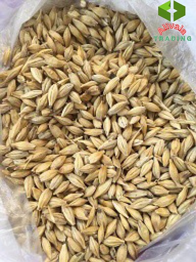 واردات جو از چین
